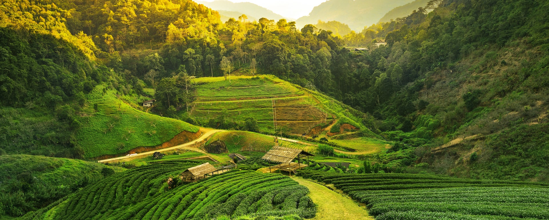 Darjeeling 