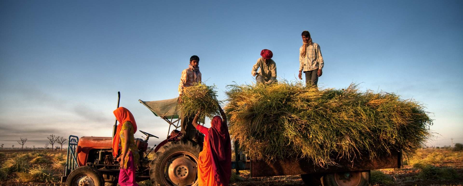Rural Surrounds of Jaipur