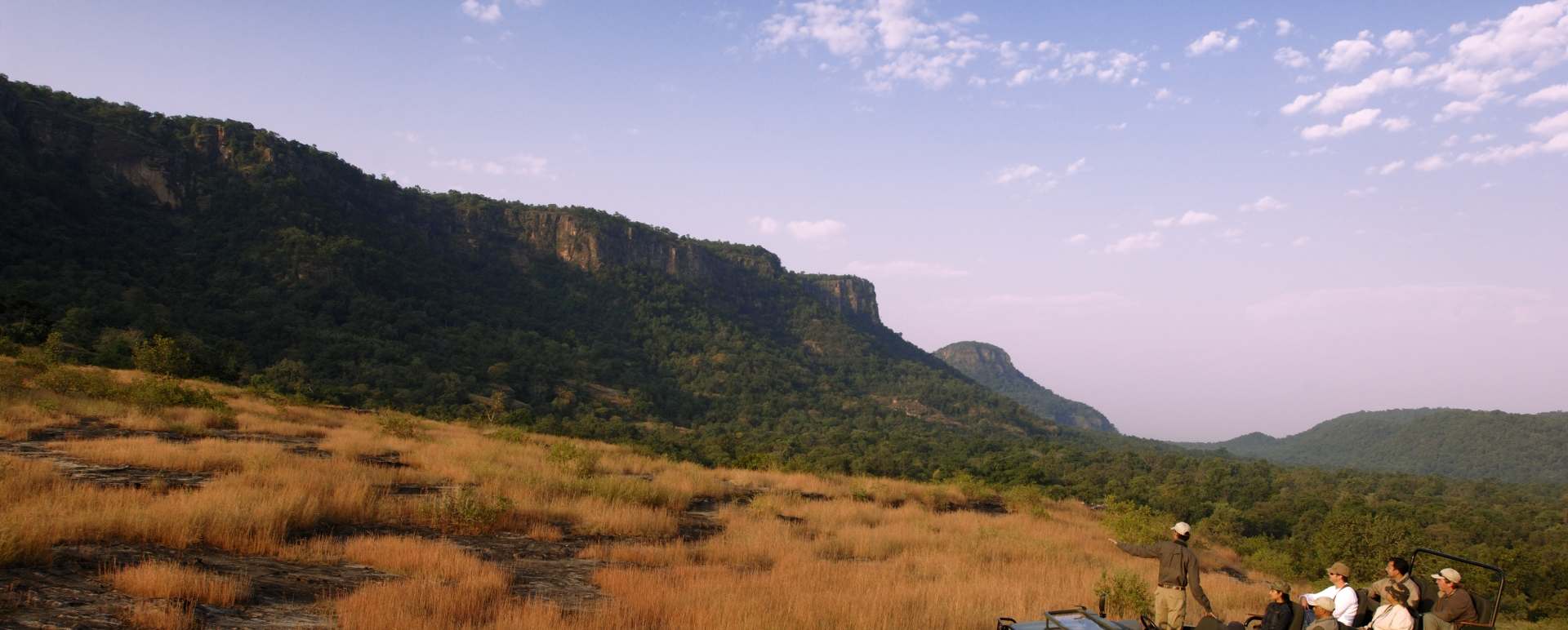 Wild India  