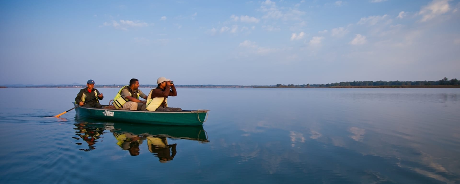Wild India  
