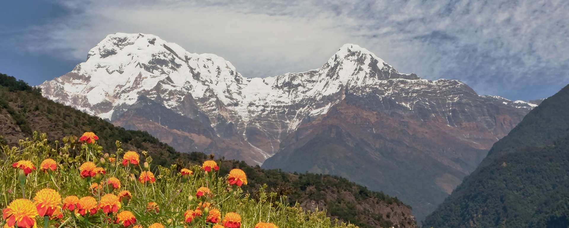 Trekking and walking