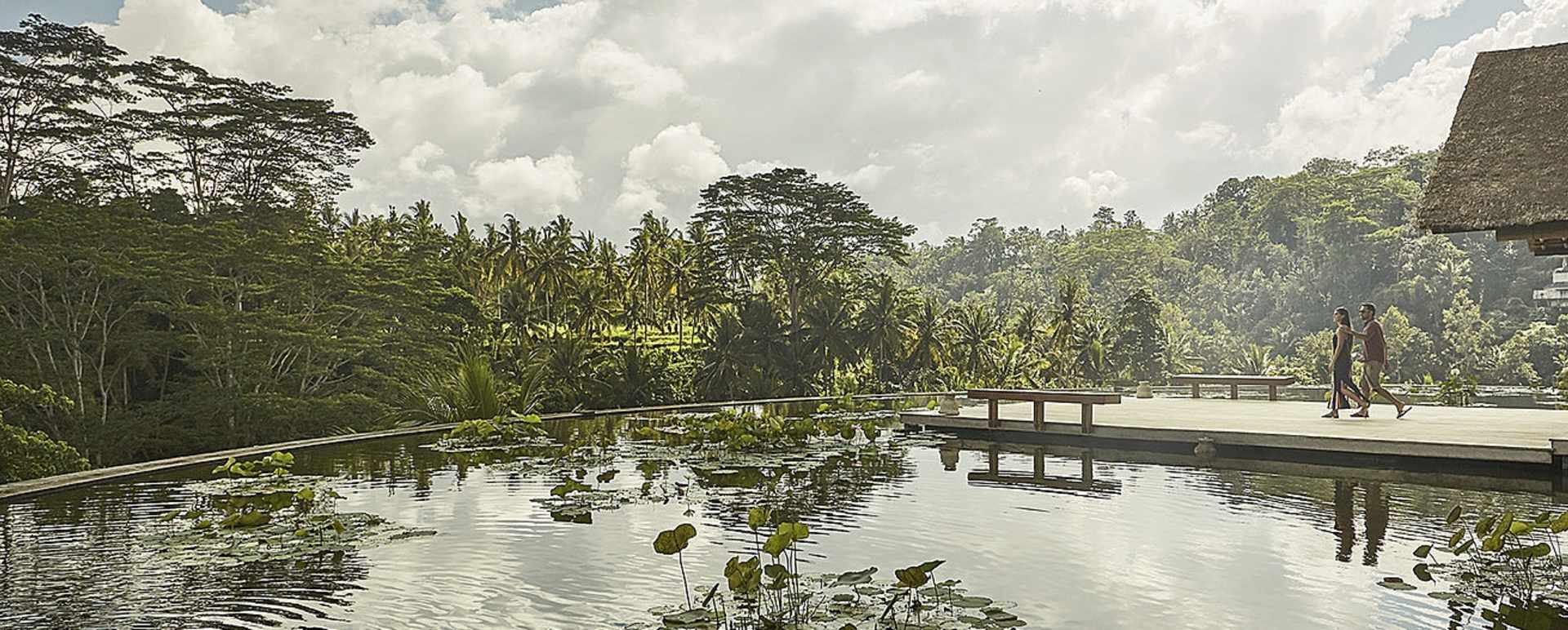 Lotus Pond - Four Seasons Sayan