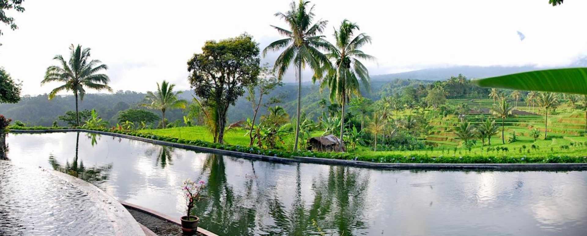 Swimming Pool - Ijen Resort