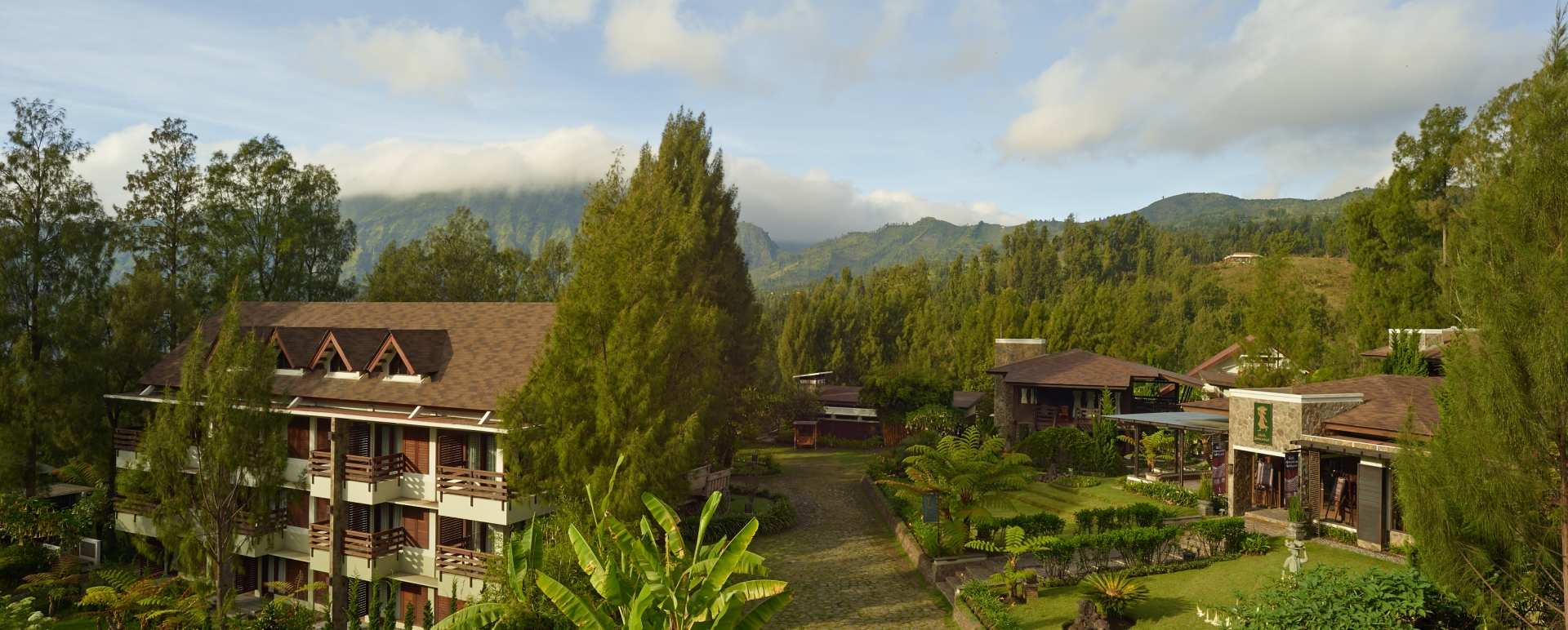 View - Jiwa Jawa
