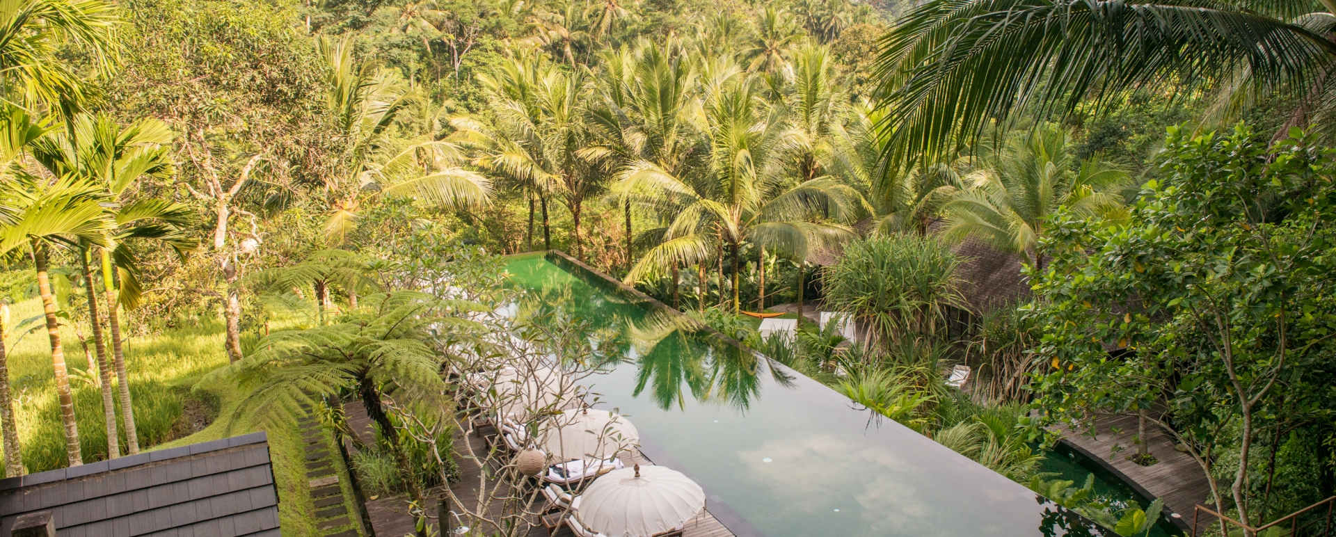 Swimming Pool - Komaneka at Bisma 