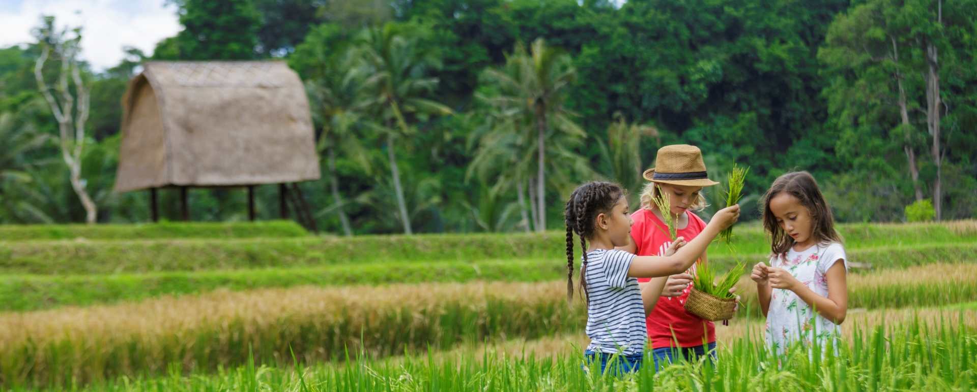 Mandapa, a Ritz-Carlton Reserve