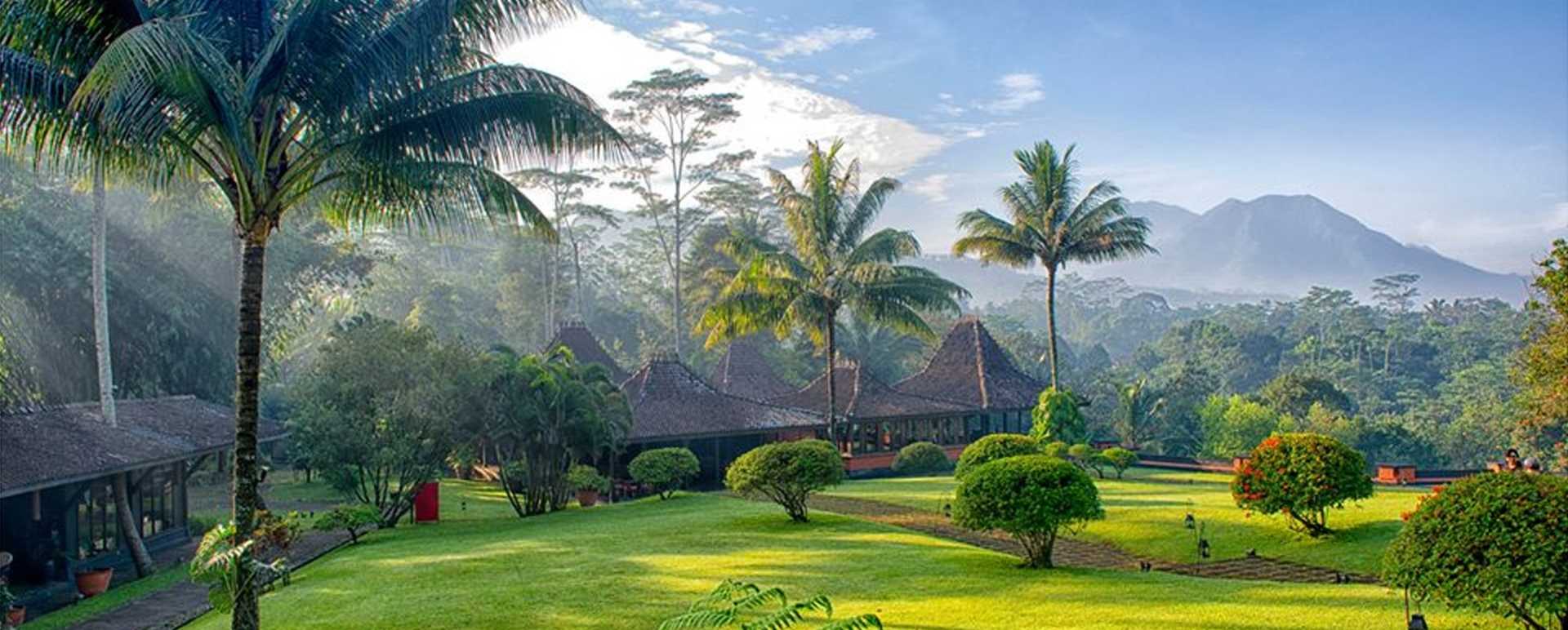 Landscape - MesaStila