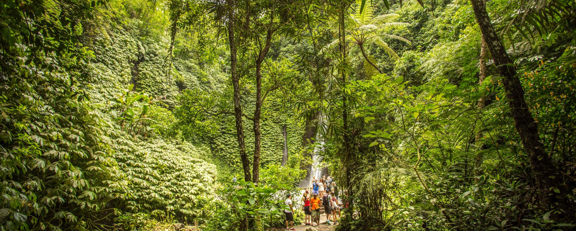 Munduk Moding Plantation Nature Resort and Spa