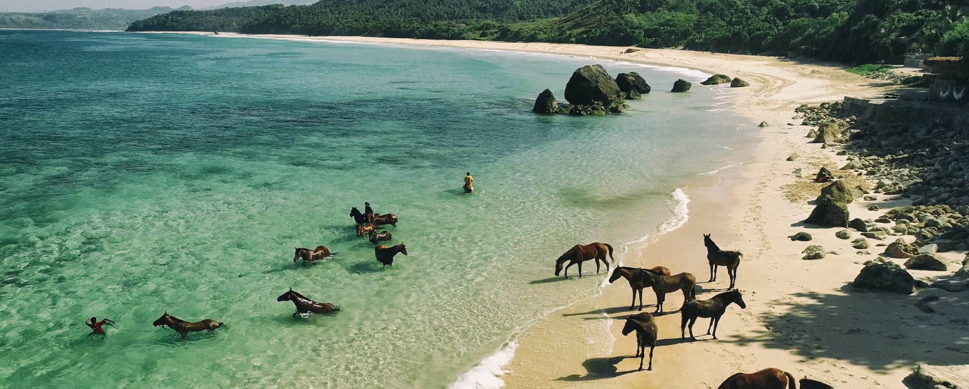 Horses in water - Nihi Sumba  