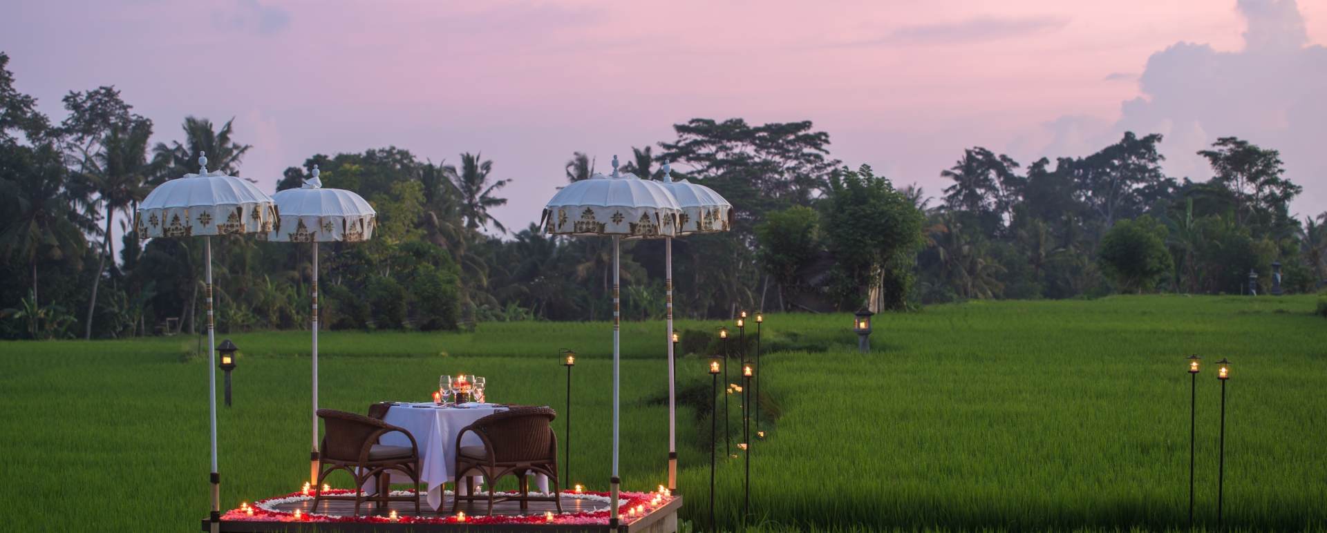 Dining Experience 