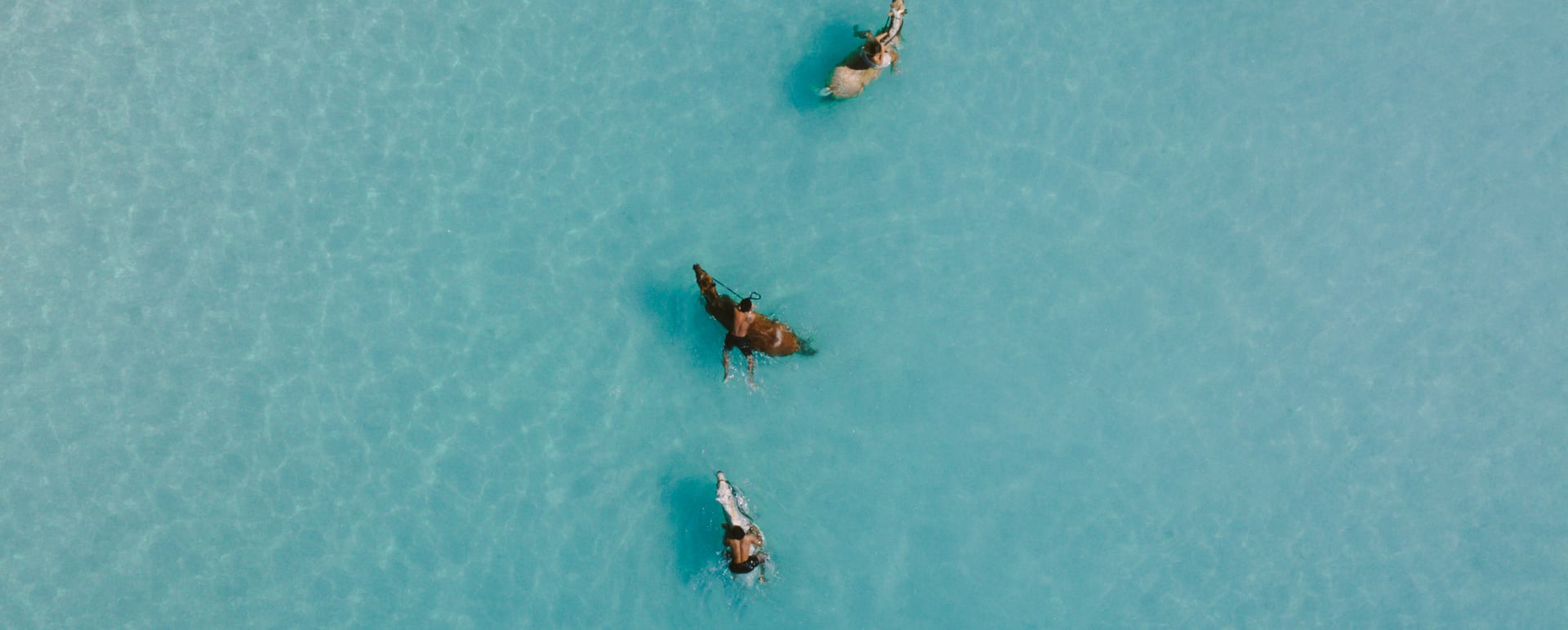 Birds eye view  