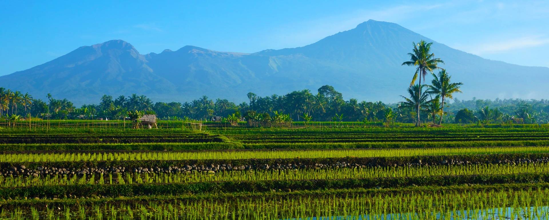 Lombok 