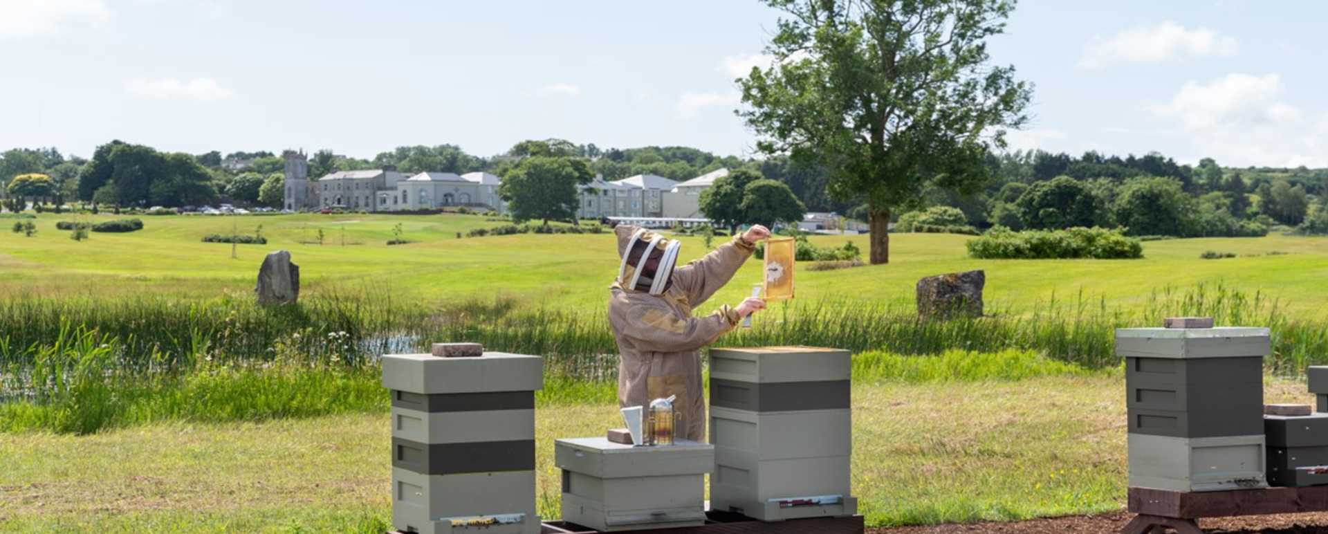 estate bees 