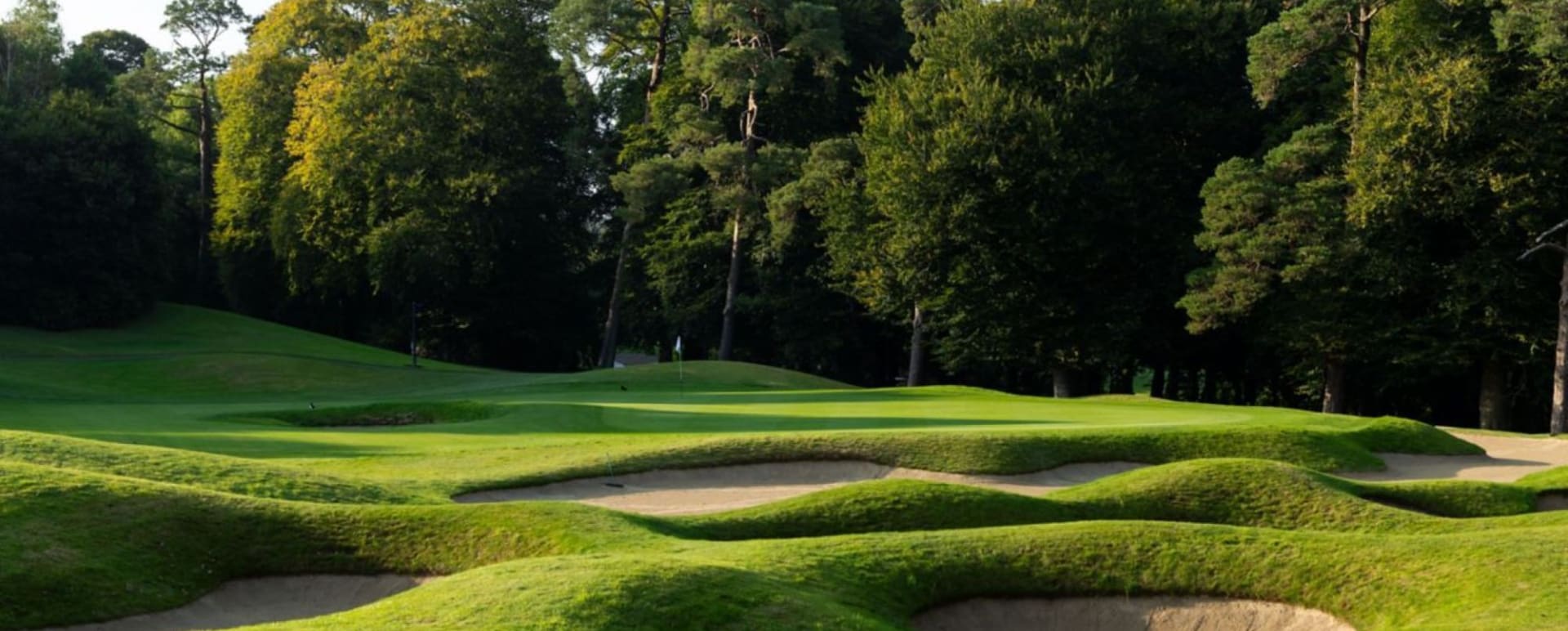Golf Course 