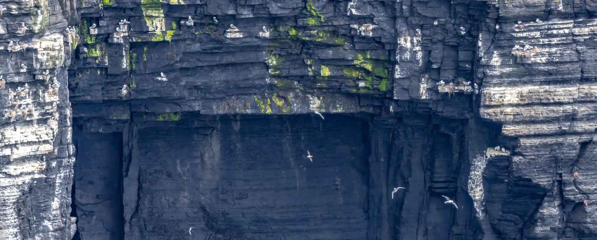 Beneath the Cliffs of Moher