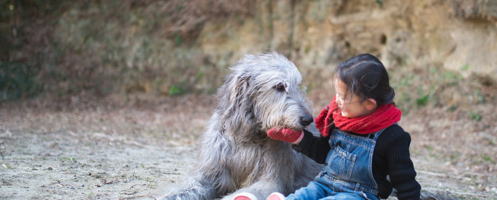 Private Wolfhound Experience