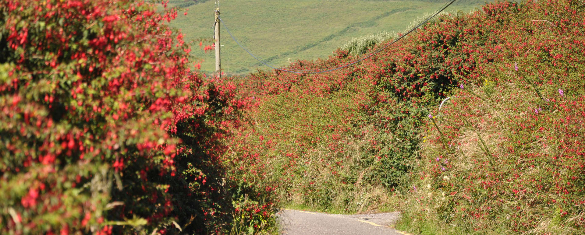 The Ring of Kerry