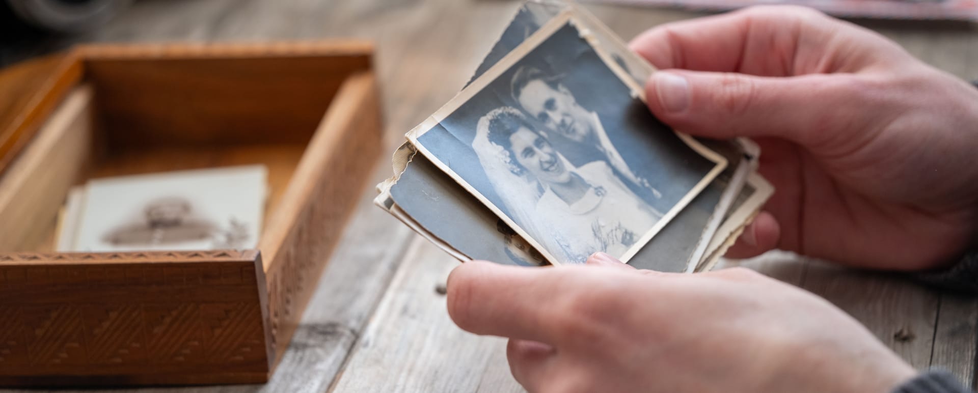 Your Irish Lineage Uncover an Ancestral Line