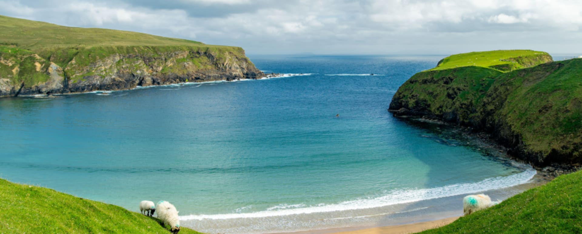 Donegal 