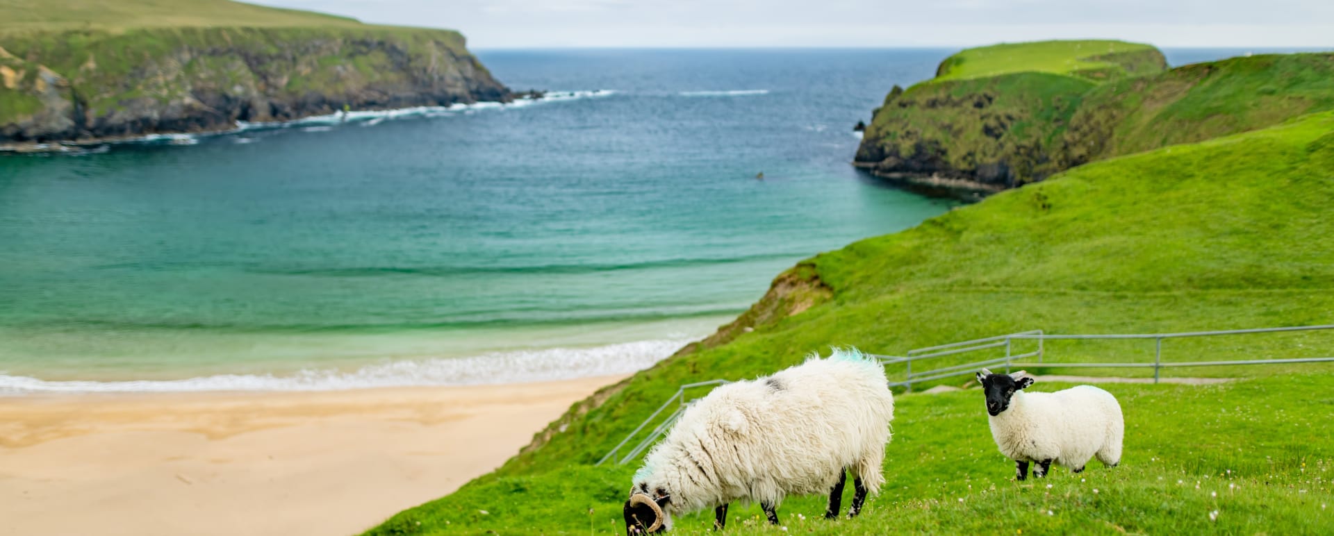 Donegal 