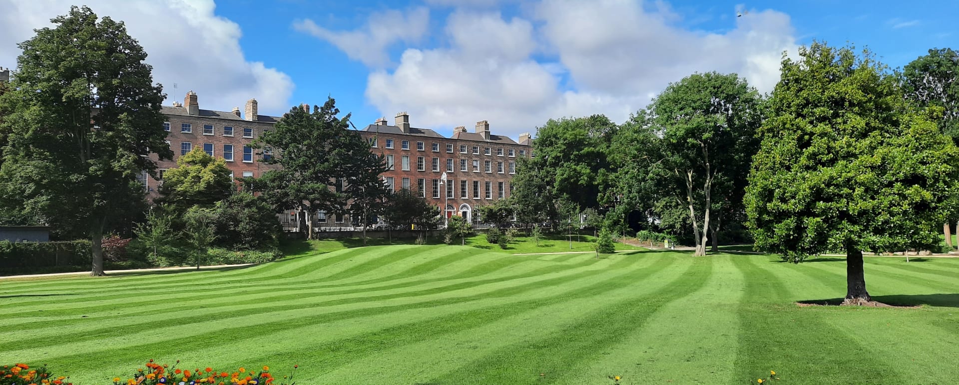 The Merrion 