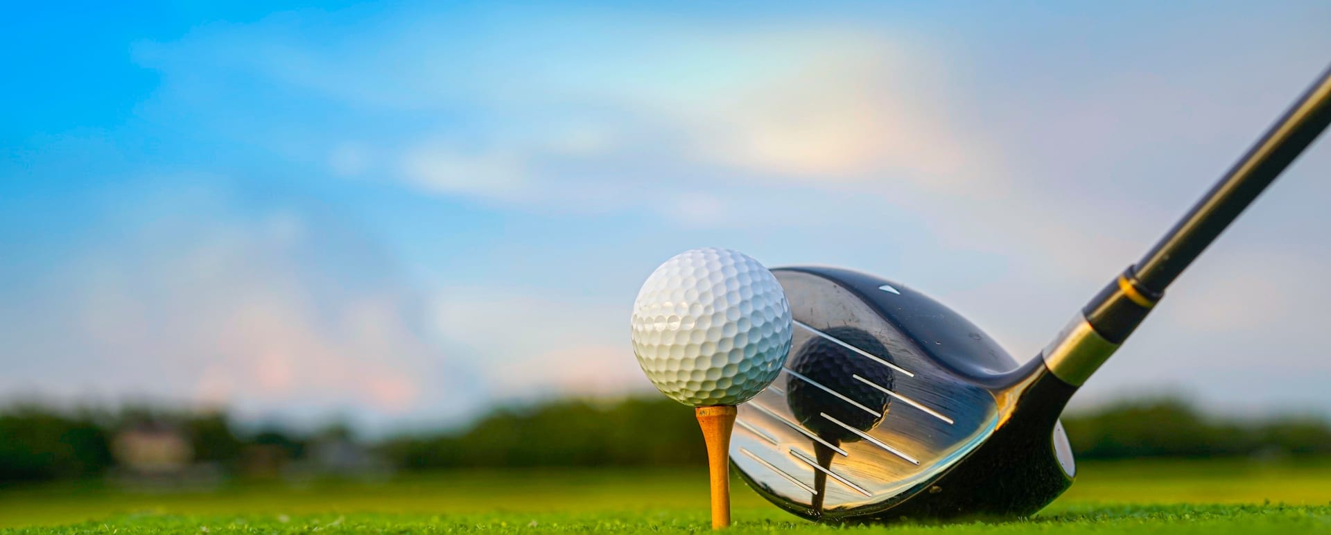 Golf club  