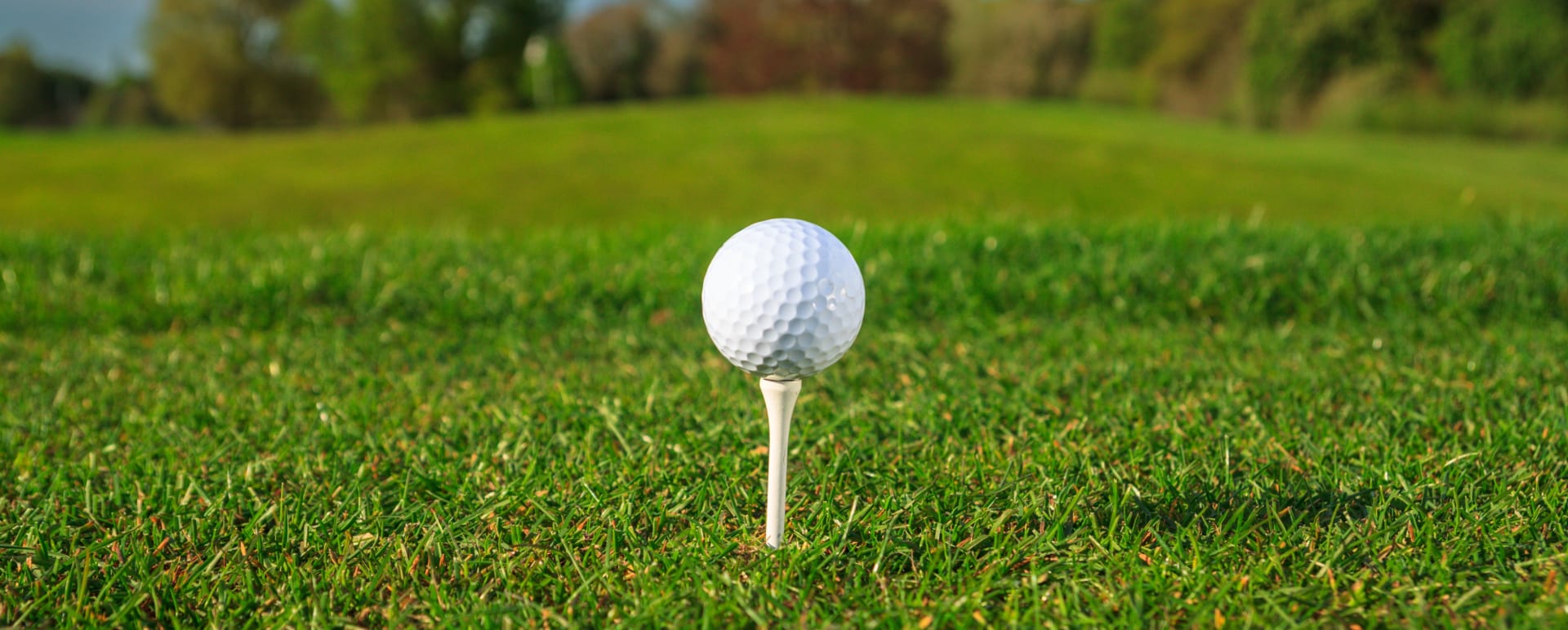 Golf ball 
