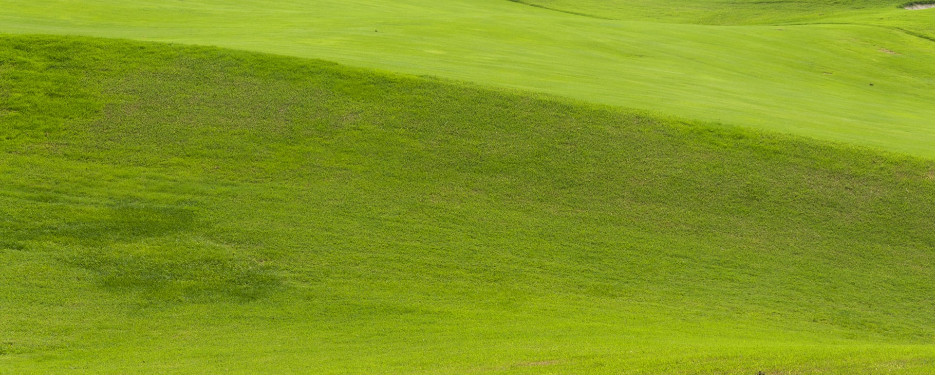 Golf Ground 