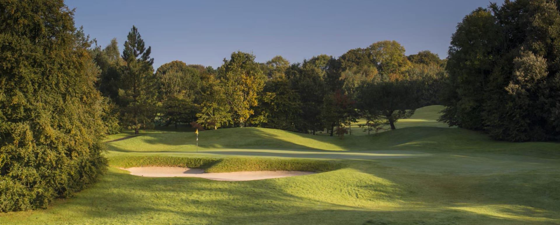 Golf course  