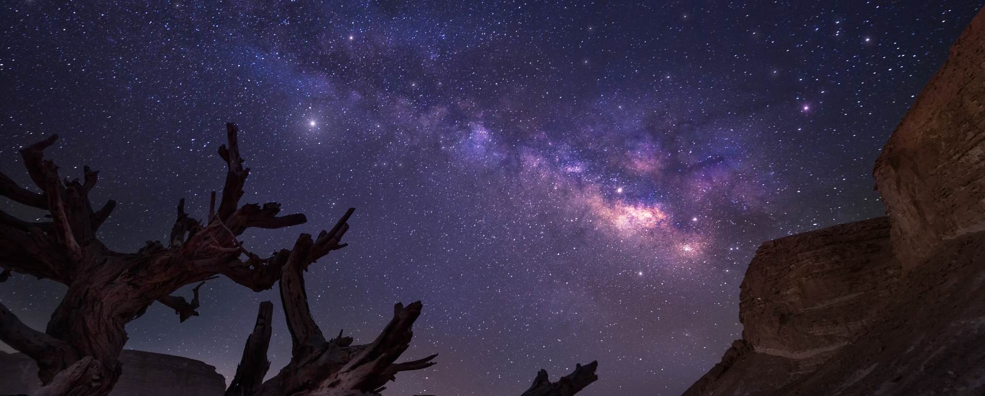 Stargazing   
