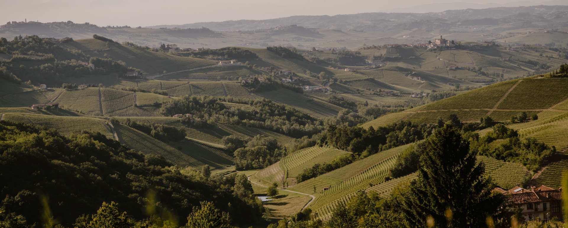 Piedmont countryside 