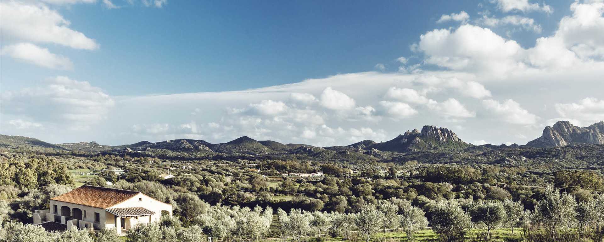 hills 