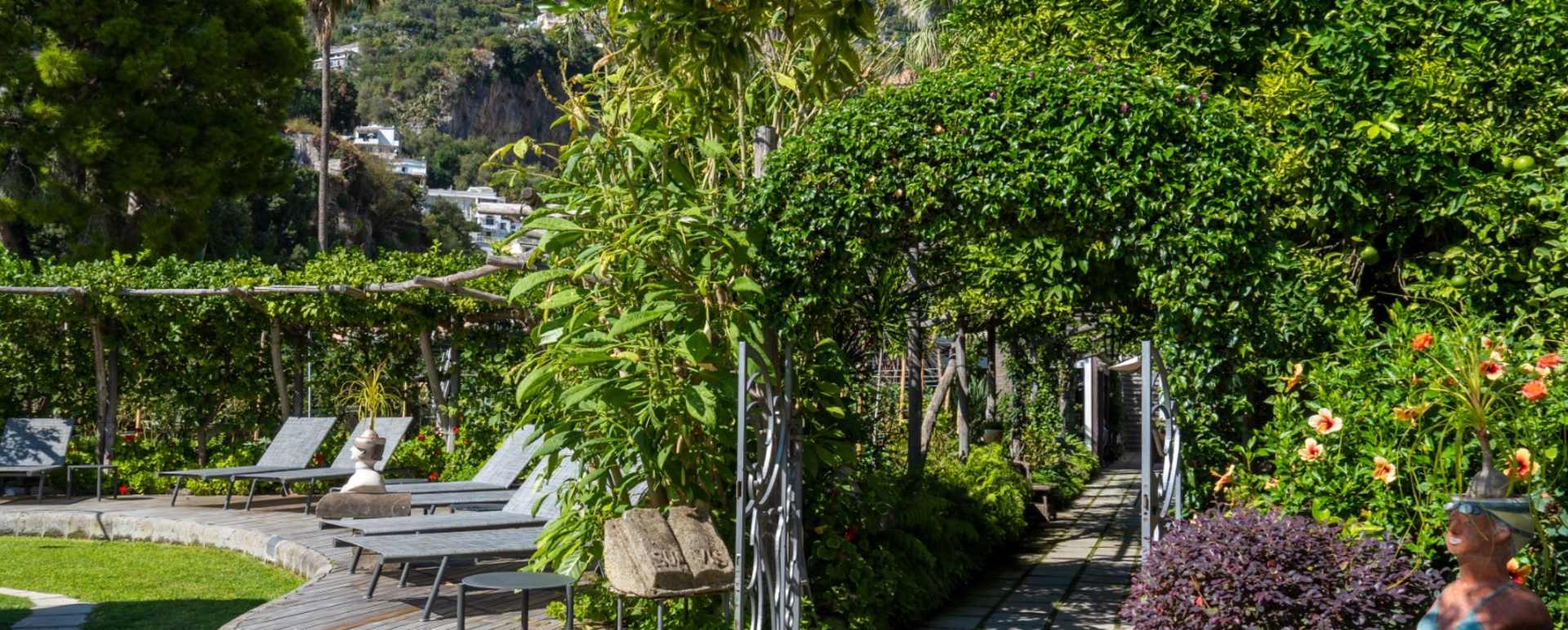 Hotel Palazzo Murat - Garden Area 