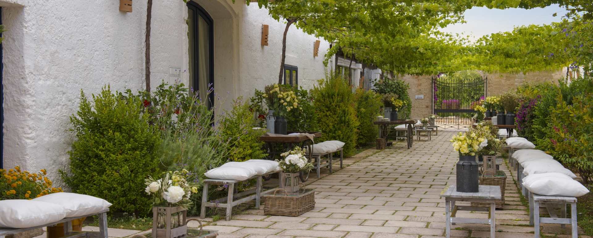 Exterior Garden 