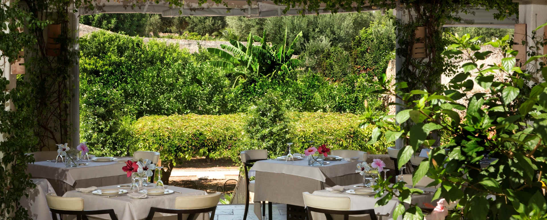 Restaurant Area 