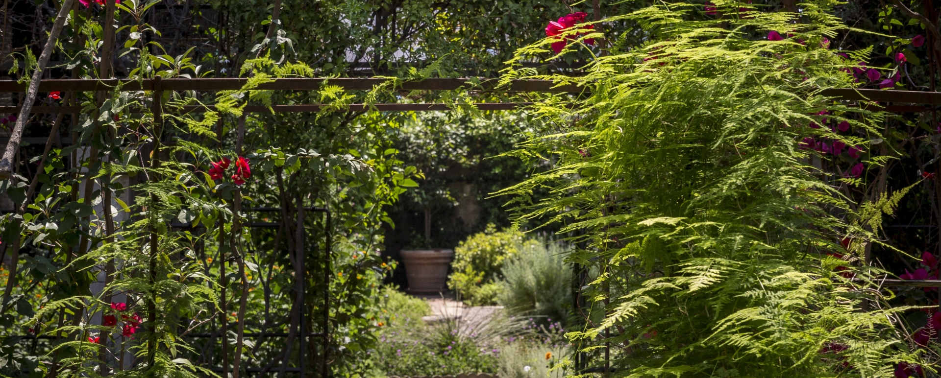 Organic Garden 
