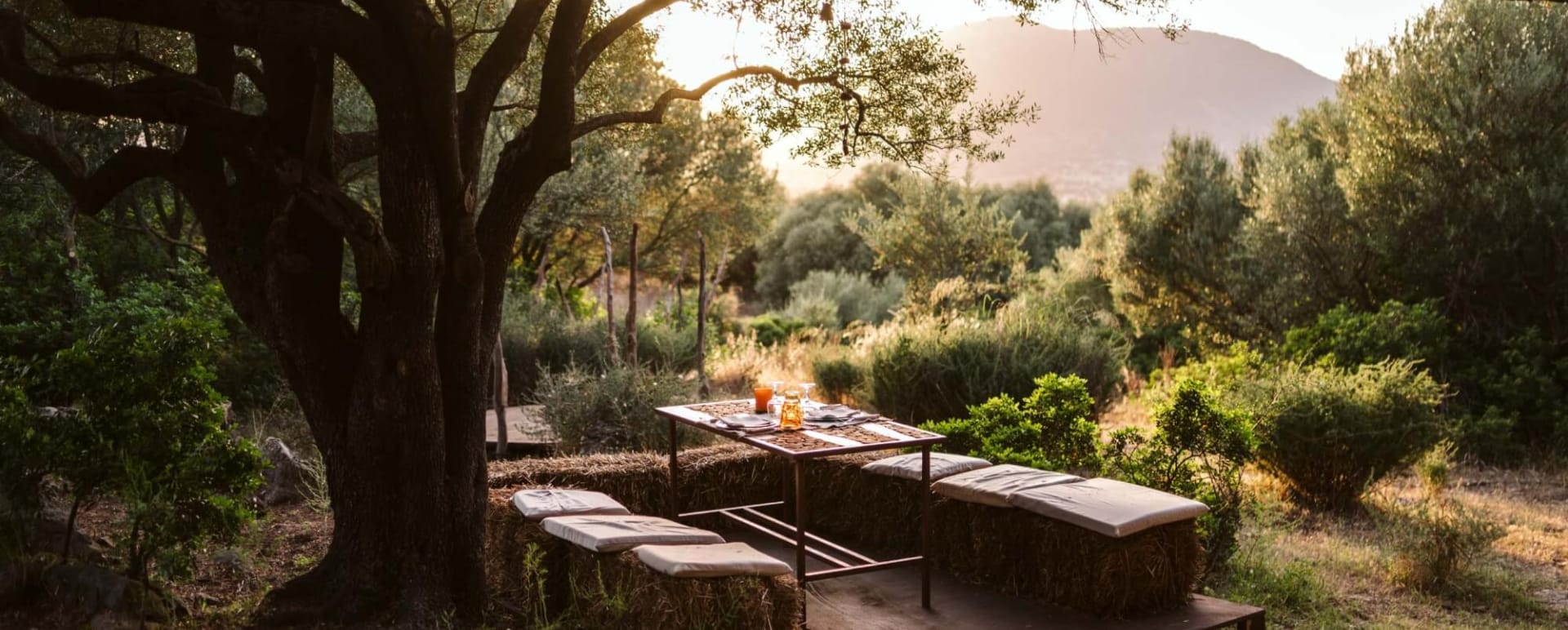 wood dining 