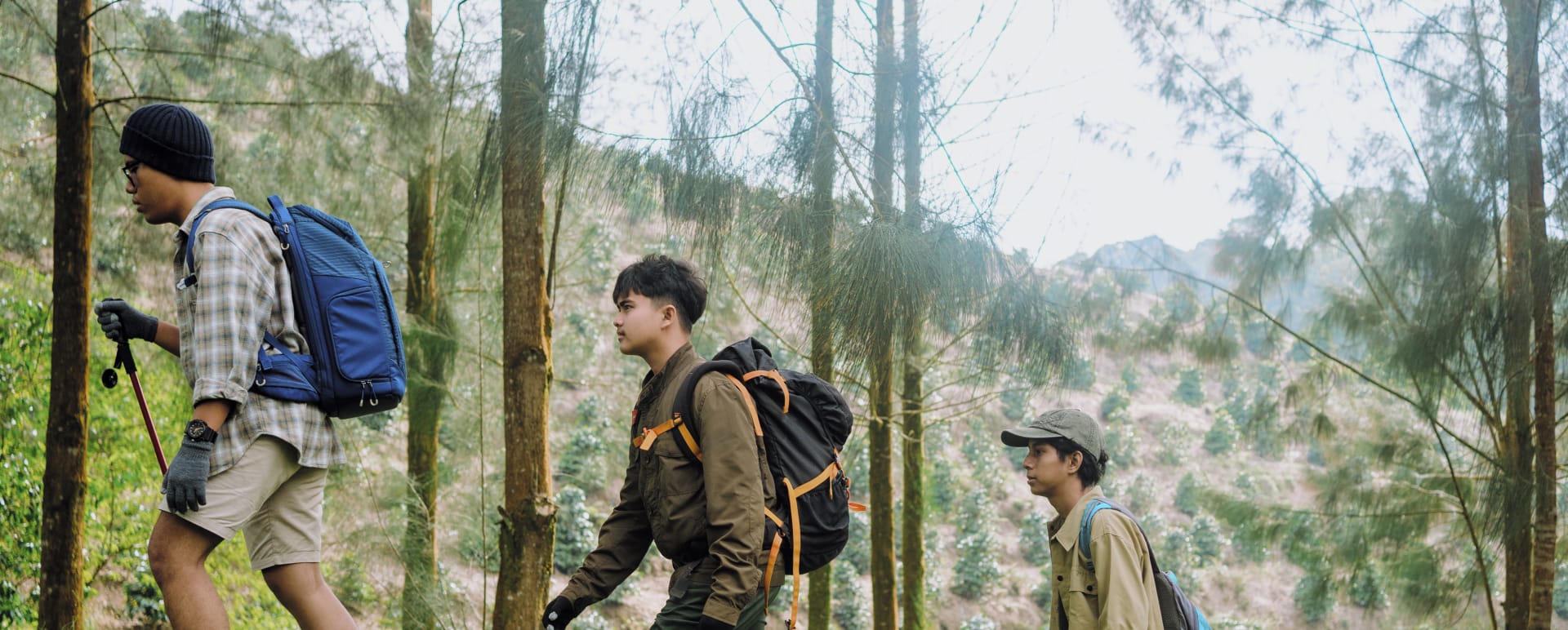 Forest bathing in Castelvecchio Reserve