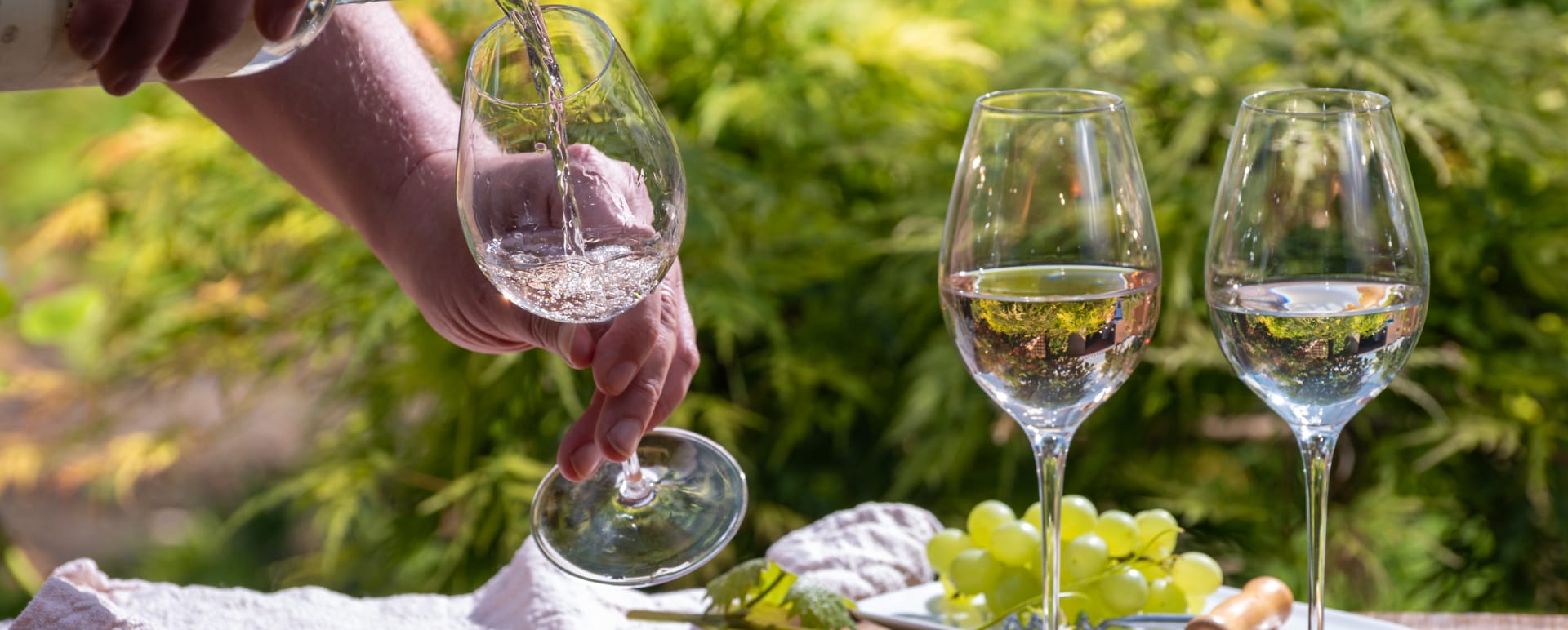 wine 