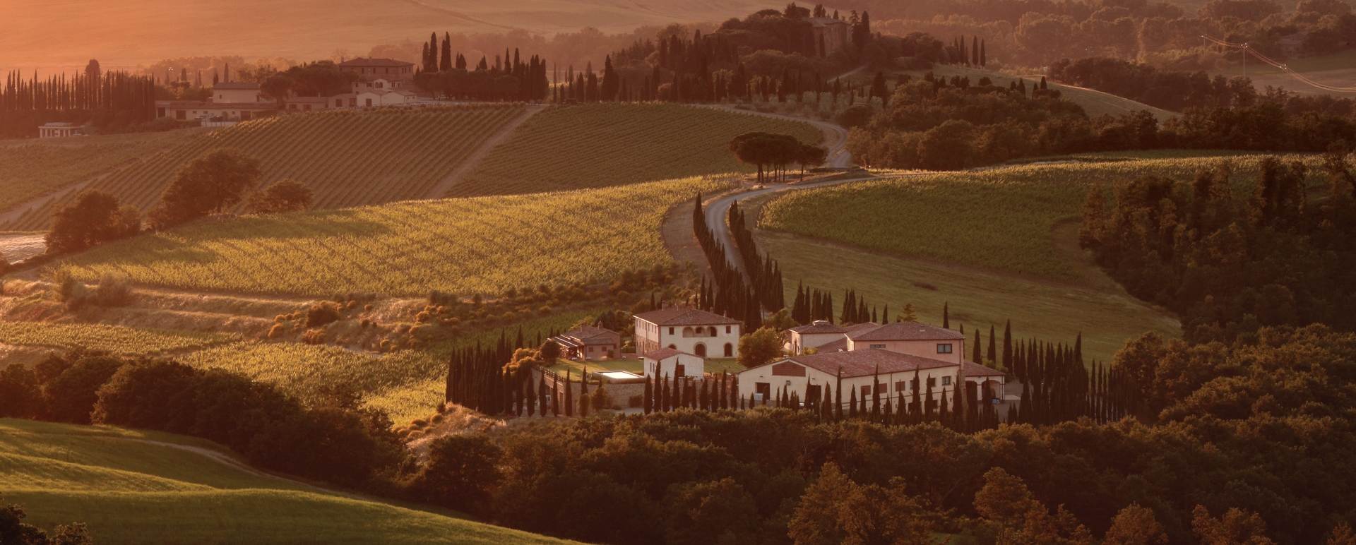 Winery 