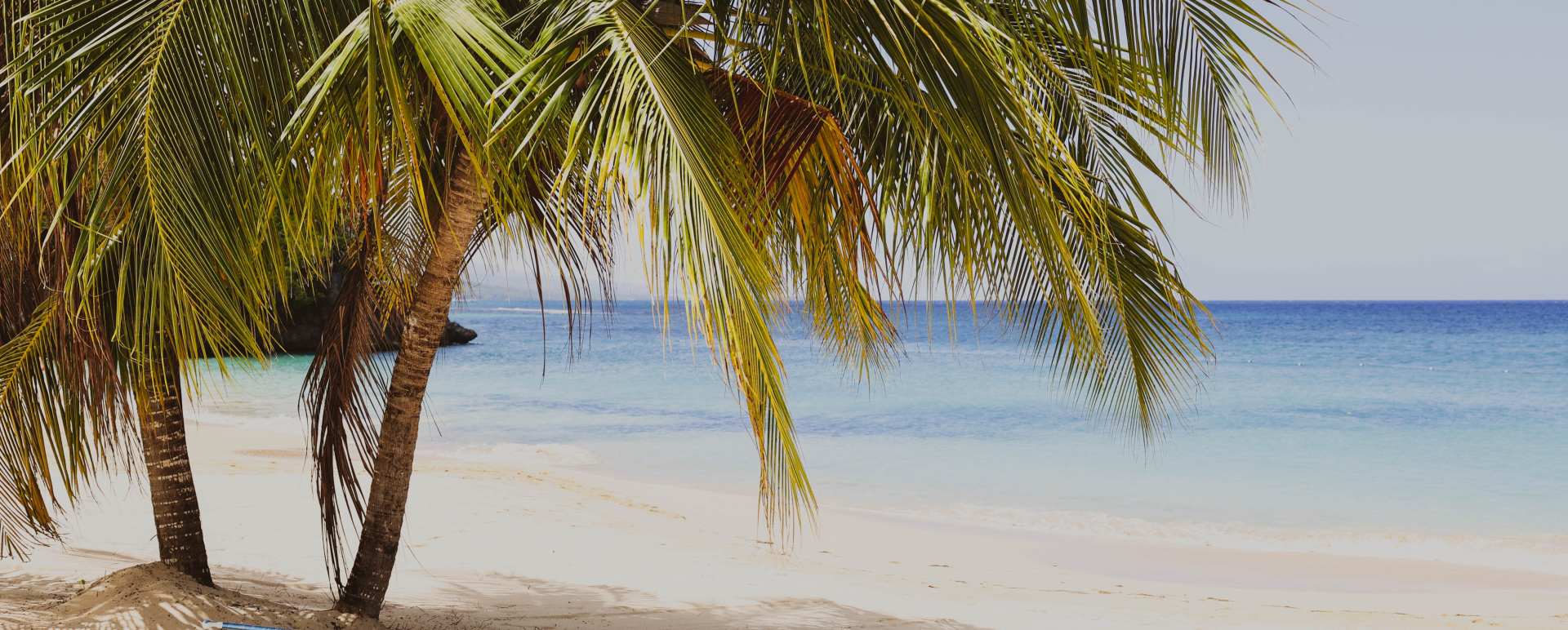 Our Jamaican favourites
