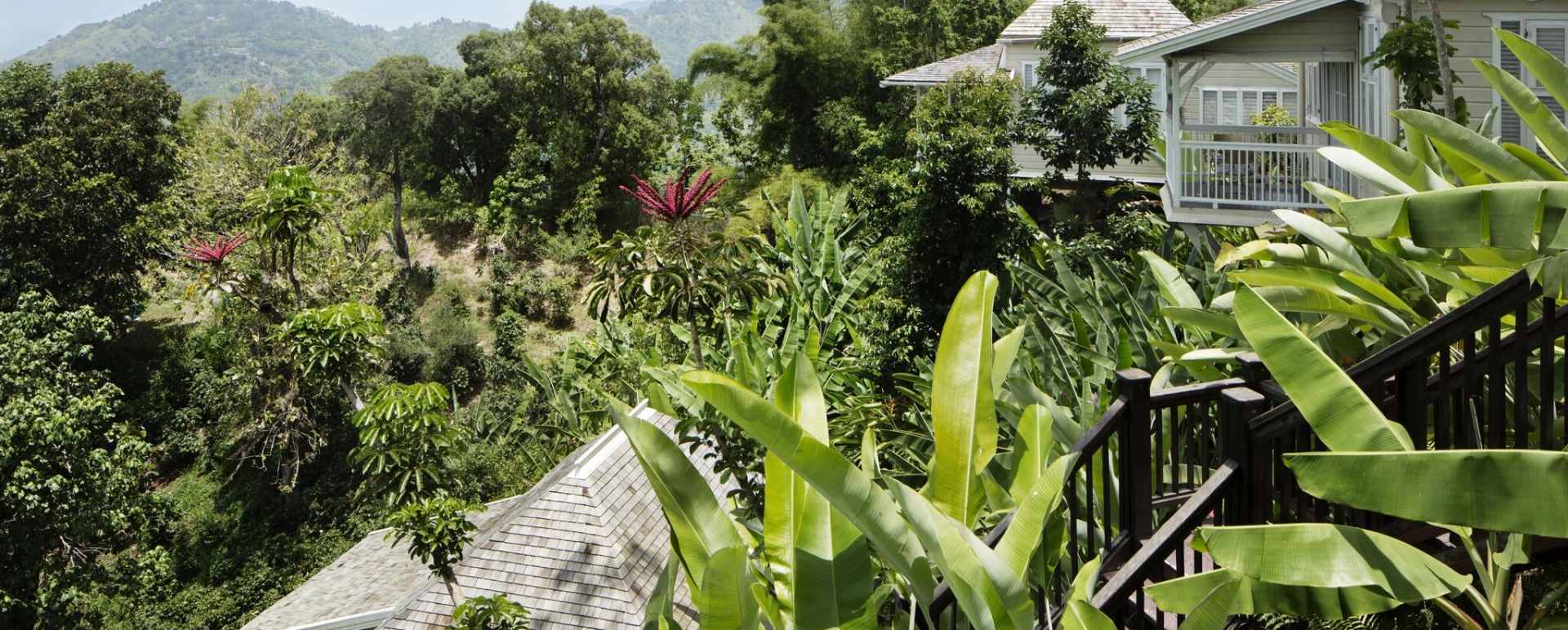 View - Strawberry Hill