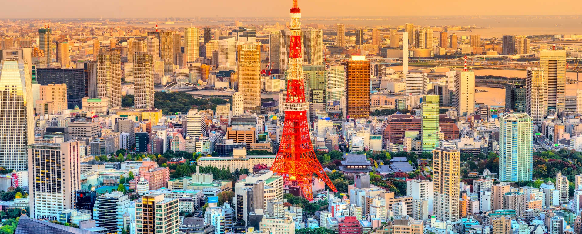 Tokyo Skyline