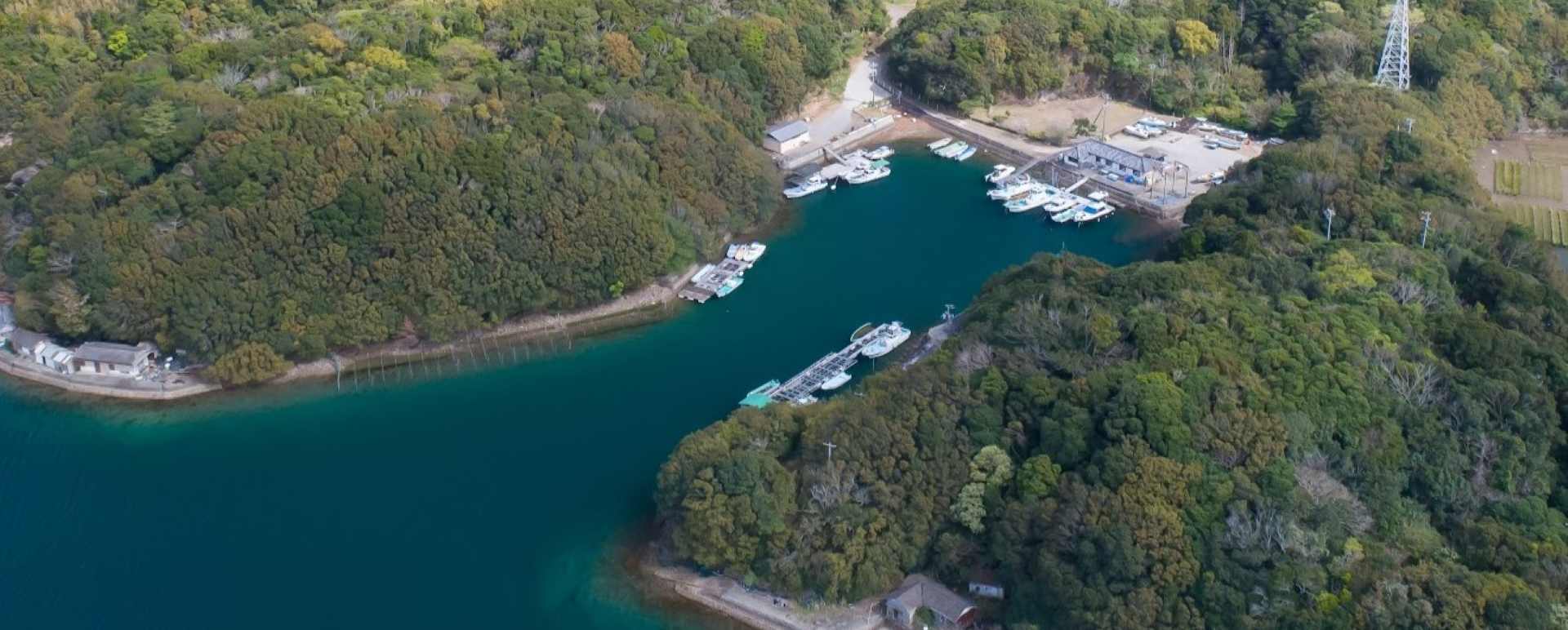 Cova Aerial Shot 