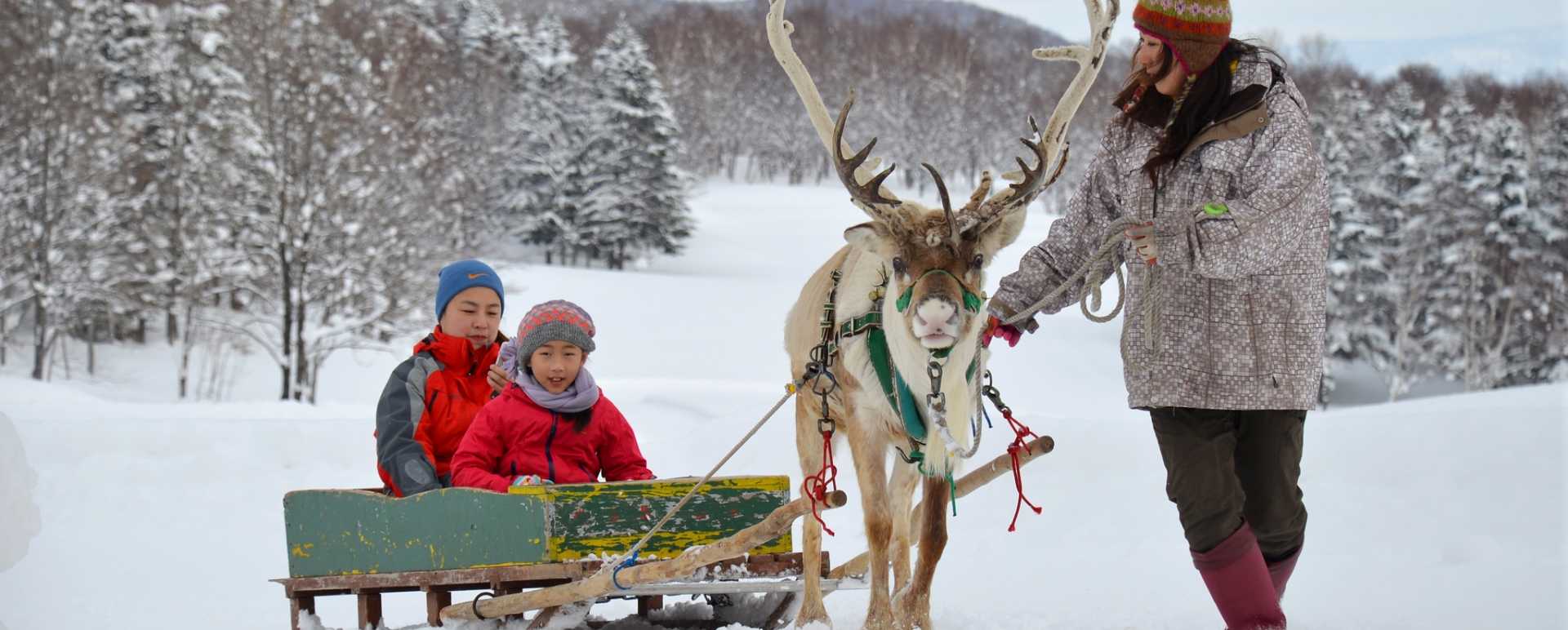 Reindeer rides - Hakuchozan