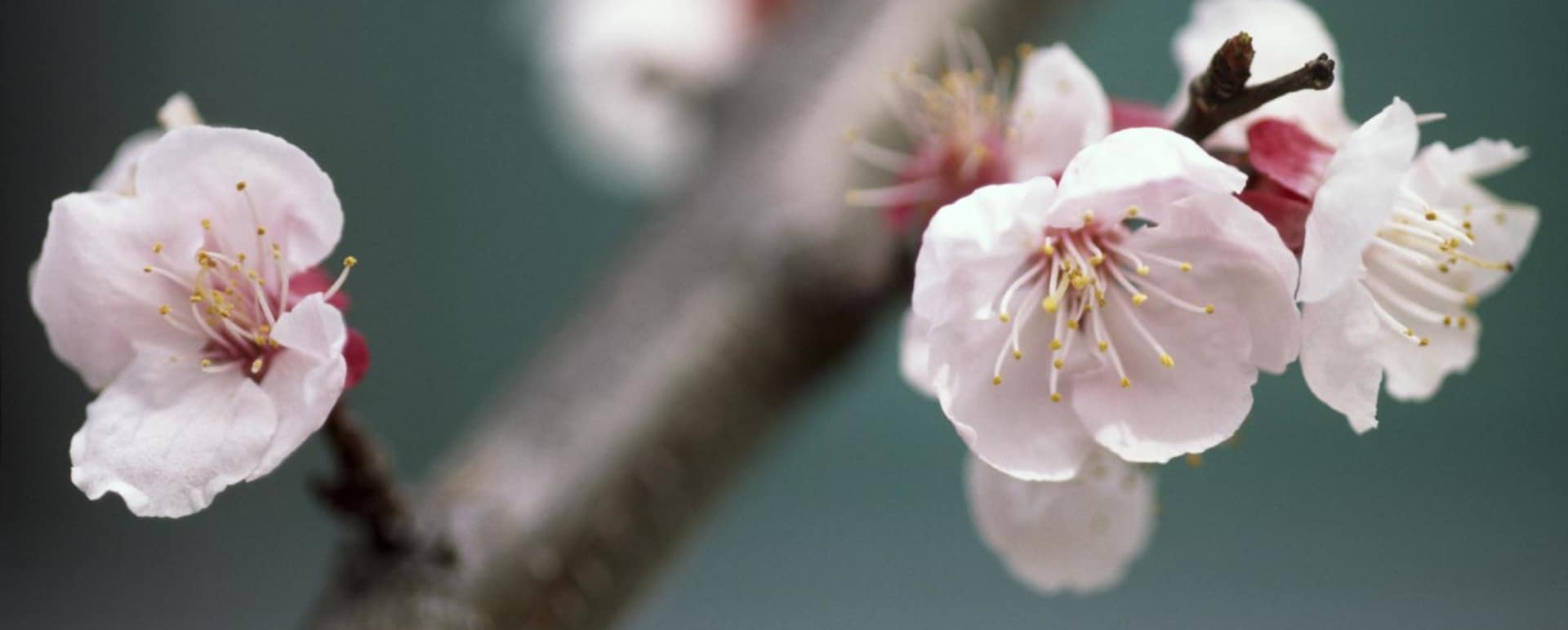 Discover Rest of Japan