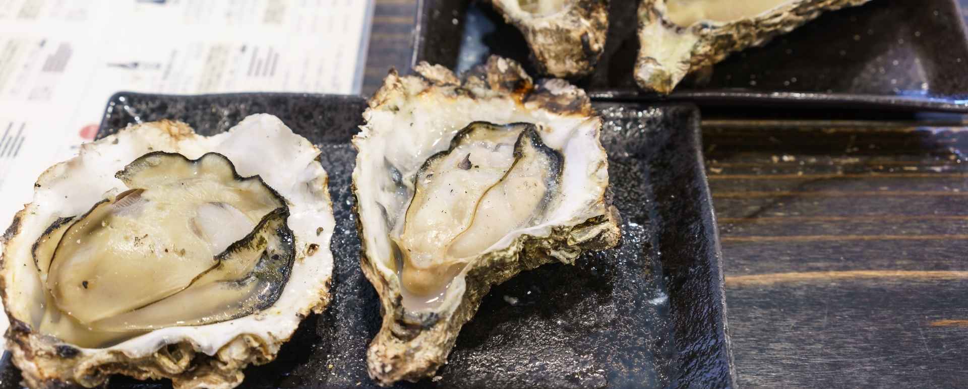 Oysters in Hiroshima