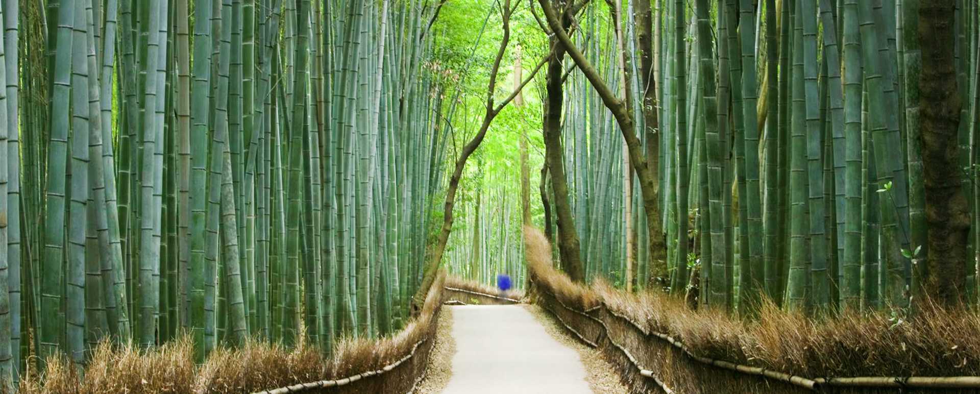 Arashiyama Backroads Tour