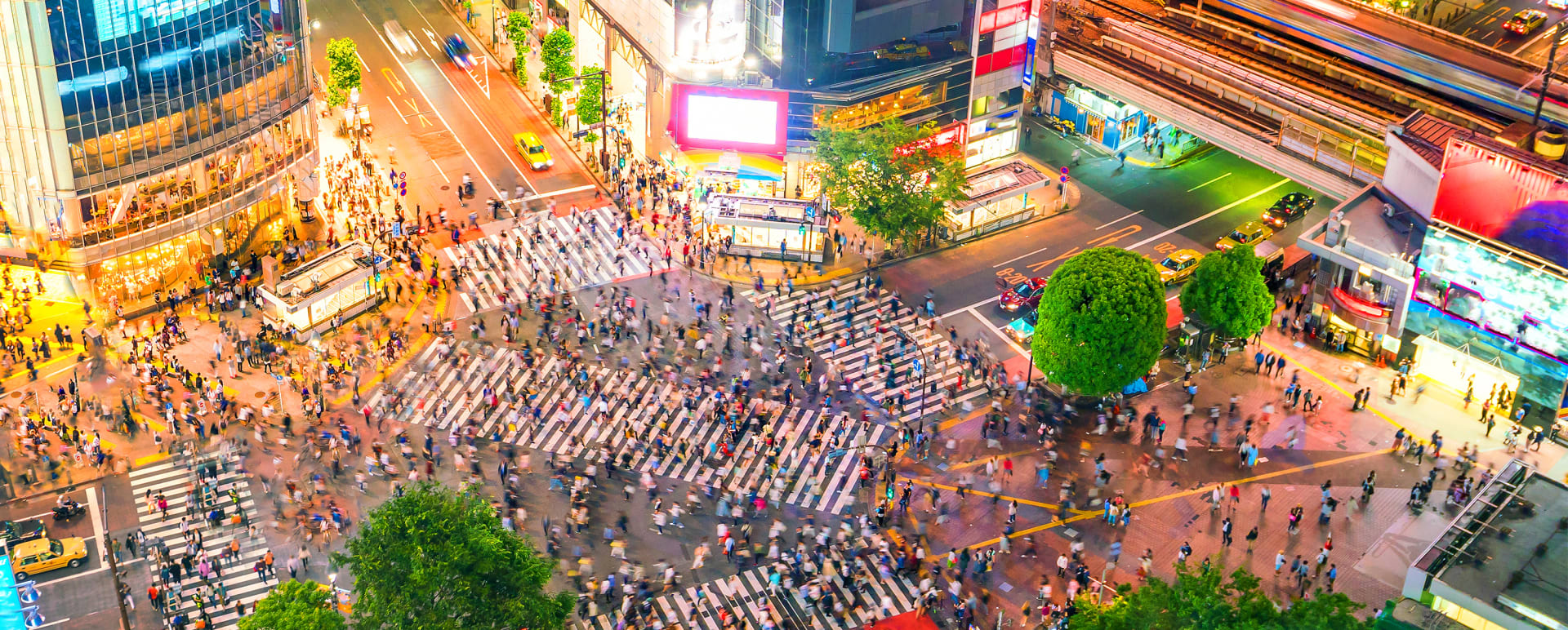 Half Day Tour of Western Tokyo