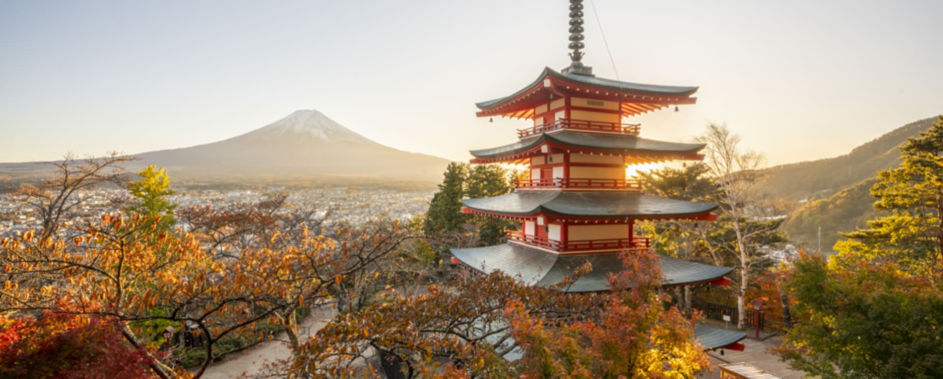 Mt Fuji frames and pagoda views